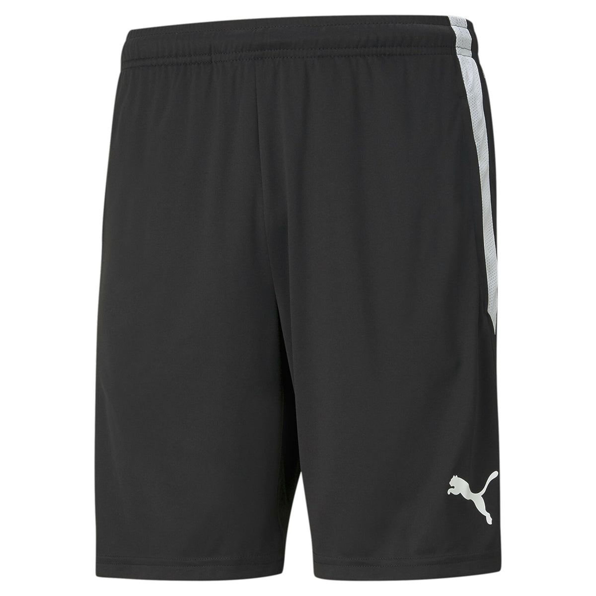 PUMA-TEAMLIGA TRAINING SHORTS PUMA BLACK-PUMA