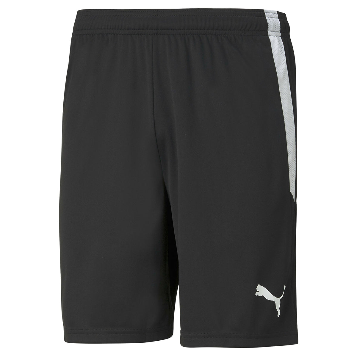 PUMA-TEAMLIGA SHORTS PUMA BLACK-PUMA WHITE