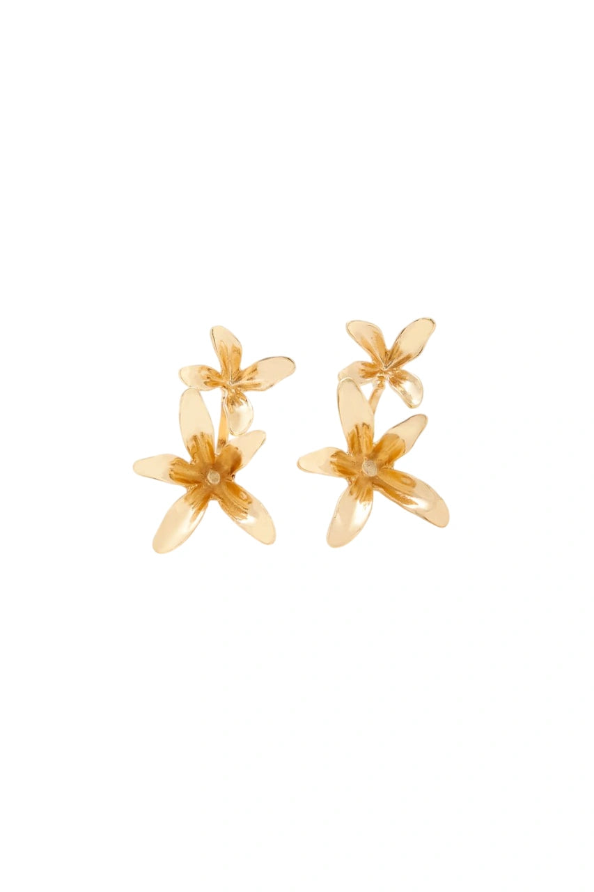 فوريفر 21-مجموعة مشابك الشعر الزهرية-للنساء