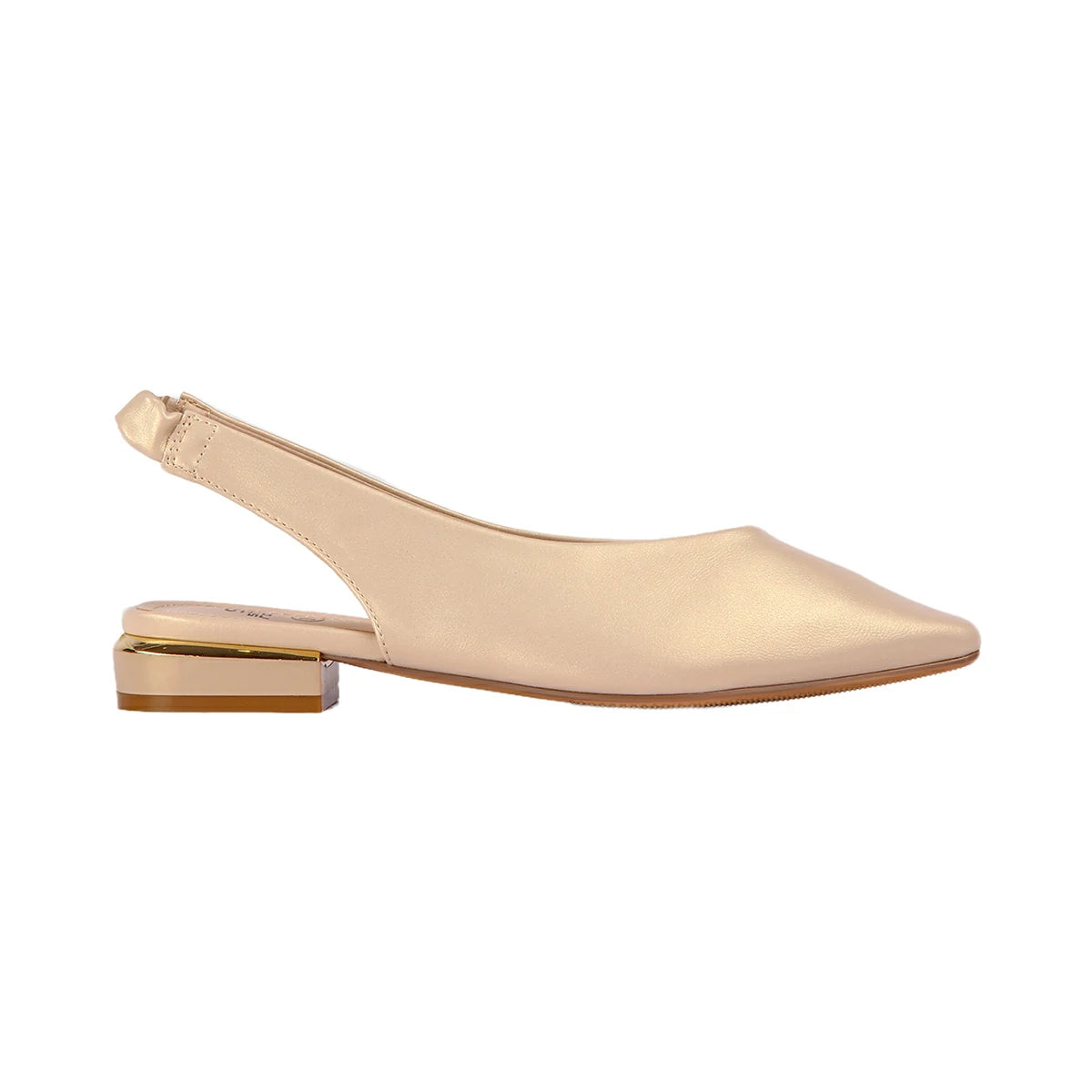 ShoeRoom - 3Cmdecolete-Sr-3255