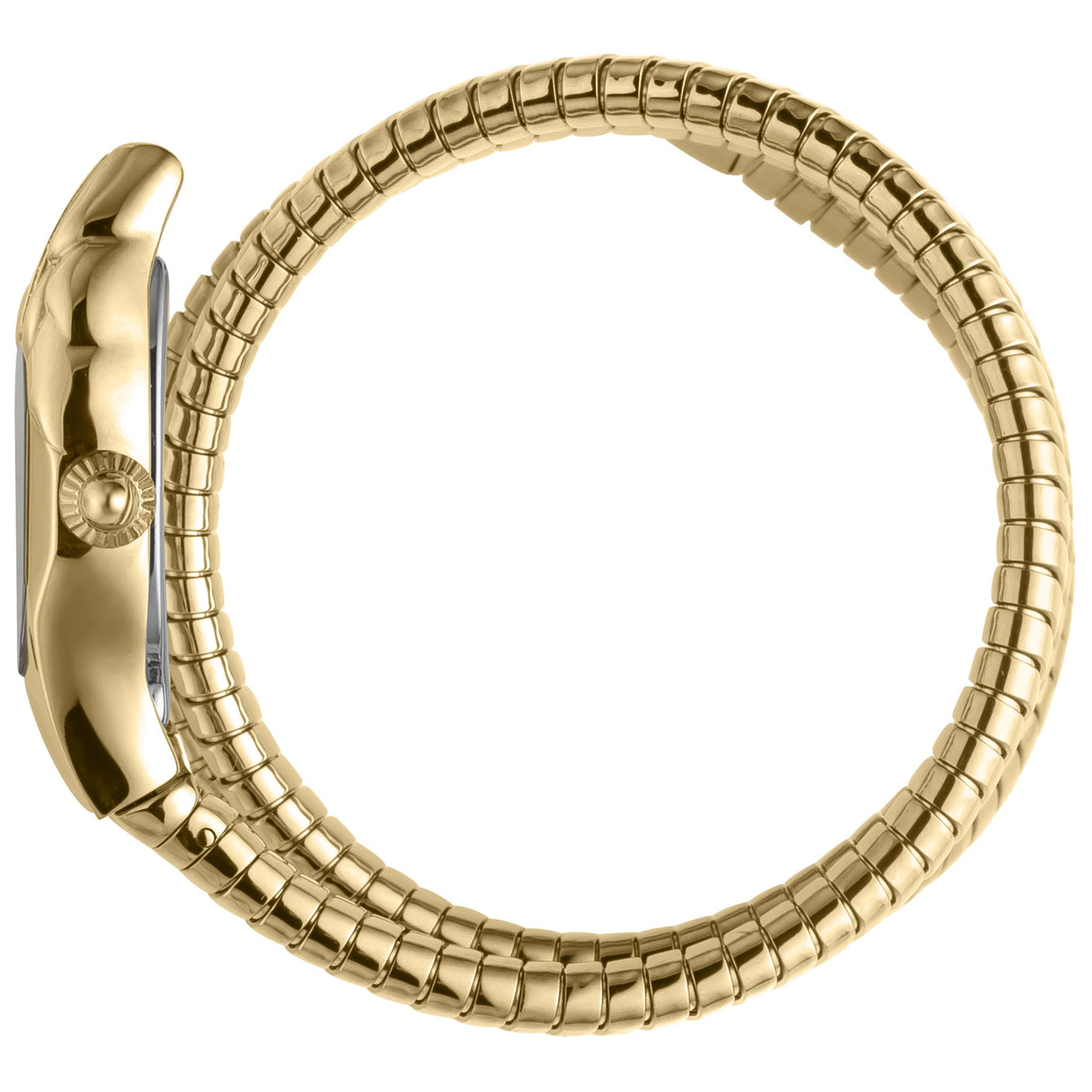 Just Cavalli Jc1L022M0025 Women'S Watch