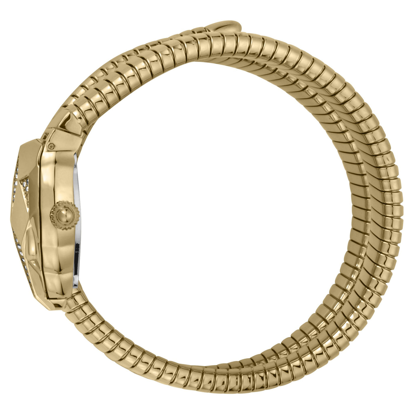 Just Cavalli Jc1L073M0025 Women'S Watch