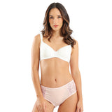 Eve chantelle - Sexy High-Cut Lace Briefs