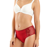 Eve chantelle - Sexy High-Cut Lace Briefs
