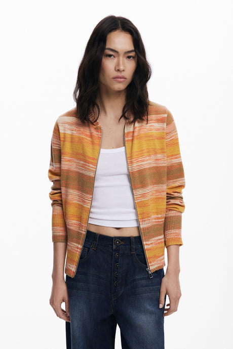 Desigual - Striped hoodie with zipper