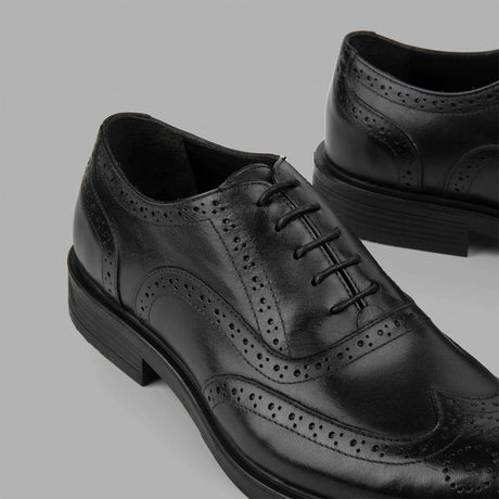 BRIO - Oxford Brogue Shoes - Black