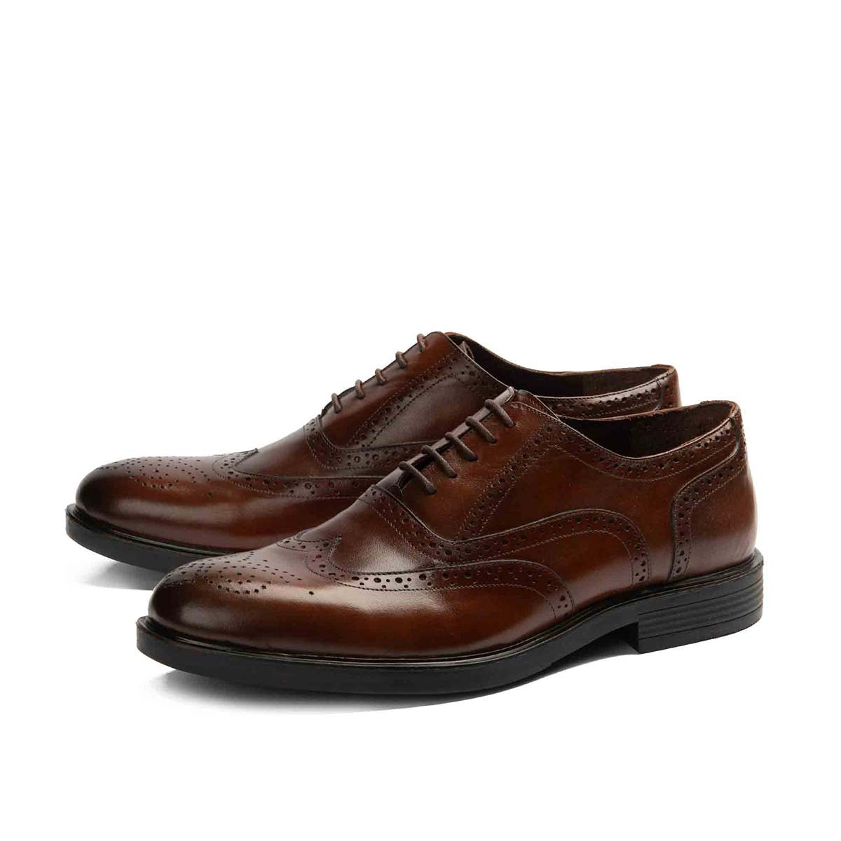 Brio - Oxford Brogue Shoes