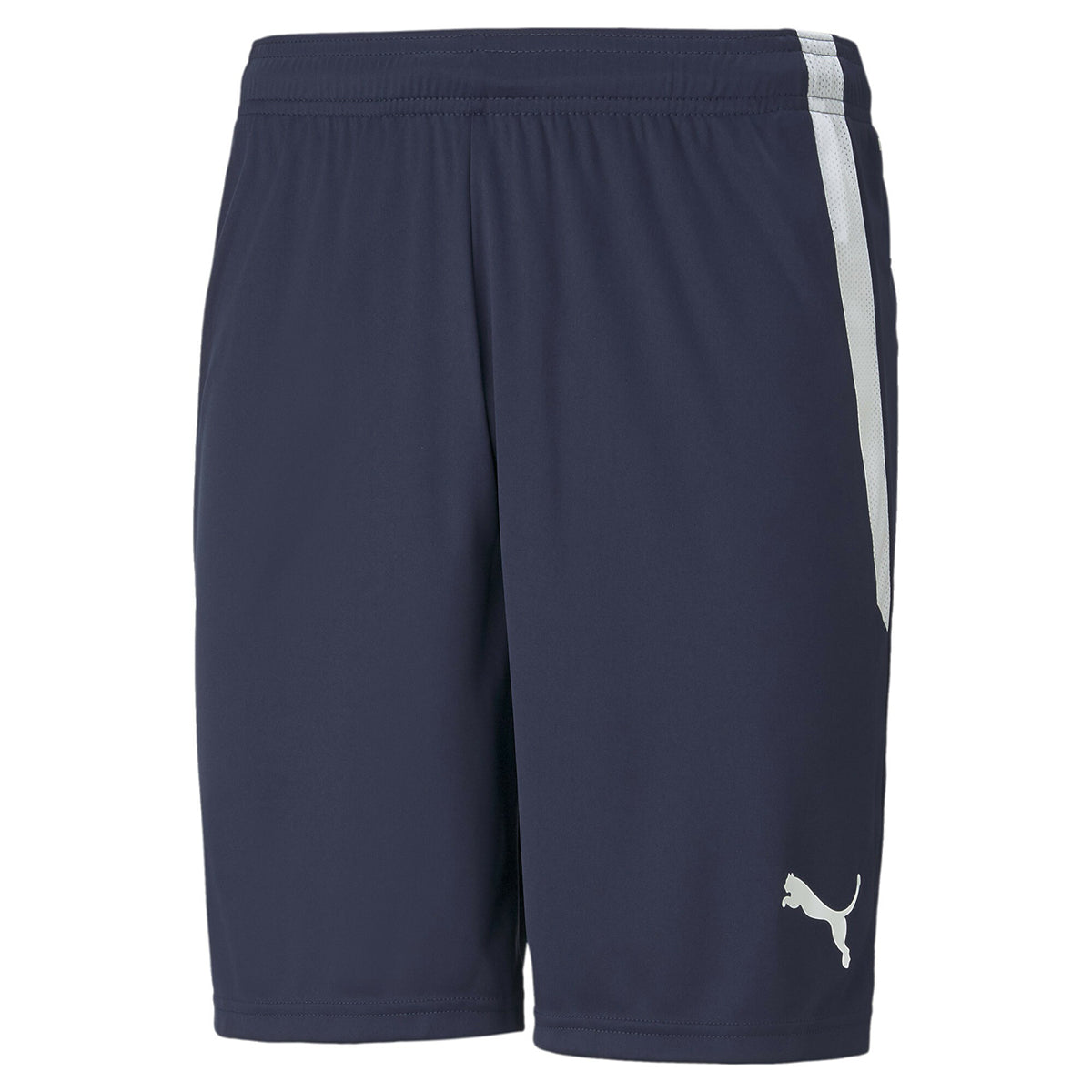 PUMA-TEAMLIGA SHORTS PEACOAT-PUMA WHITE