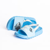 Onda - Disney Shark Baby
