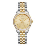 TRNDA Women's Watch with Silver Stainless Steel Case and Silver & Gold Stainless Steel Band
