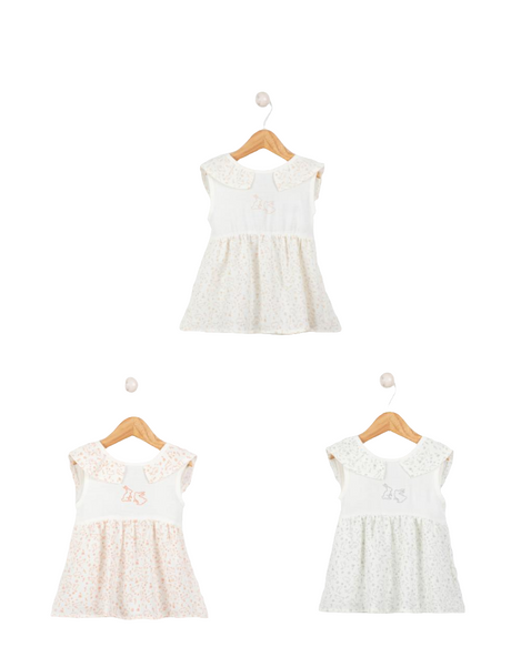 Teddybear - Velvet Dress