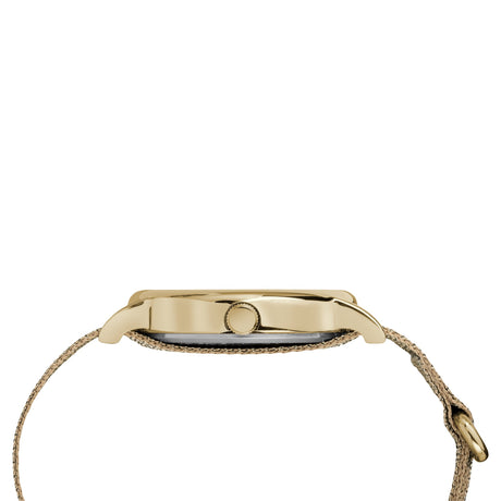 TIMEX TW2R92300 Women's Watch